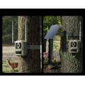 Reolink trail camera Camovue Talon S130 8MP 4G