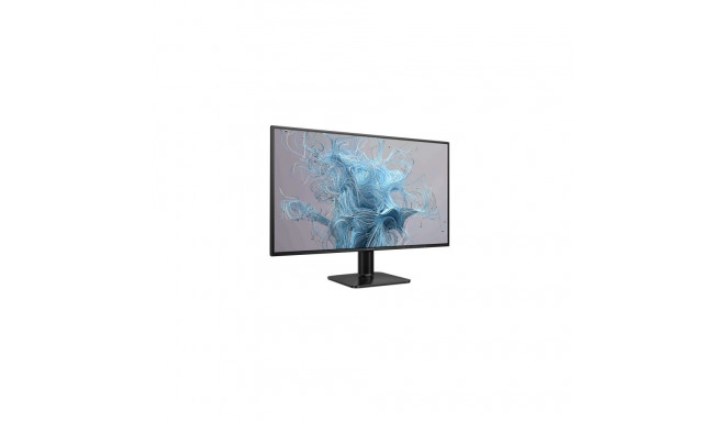 Monitor 27E2N1110 27 inches IPS HDMI VGA