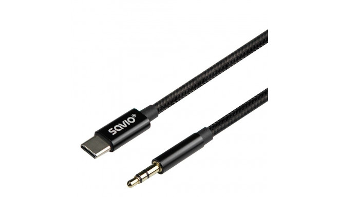 USB-C to mini-Jack cable