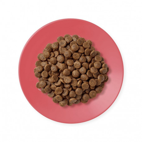 APPLAWS Adult Chicken with duck - dry cat food - 400g