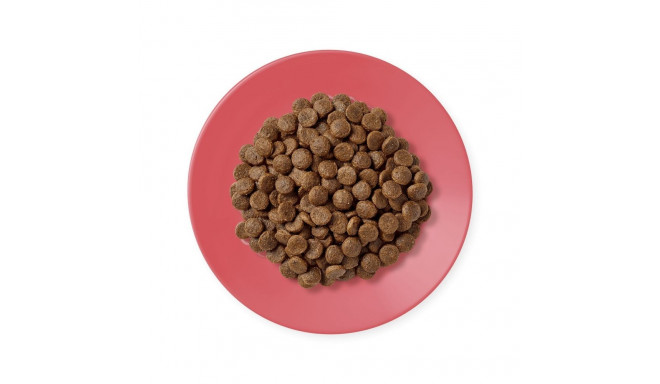 APPLAWS täiskasvanute kana pardiga kuiv kassitoit 400g