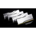 RAM-mälu GSKILL F5-8400J4052G24GX2-TR5S 48 GB DDR5