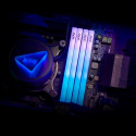 ADATA DDR5 - 32GB - 6000 - CL - 30 (2x 16 GB) dual kit, memory (white, AX5U6000C4816G-DTLABRWH, XPG 