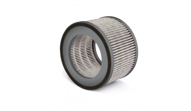 Soehnle Filter AirFresh Clean 300 1068106