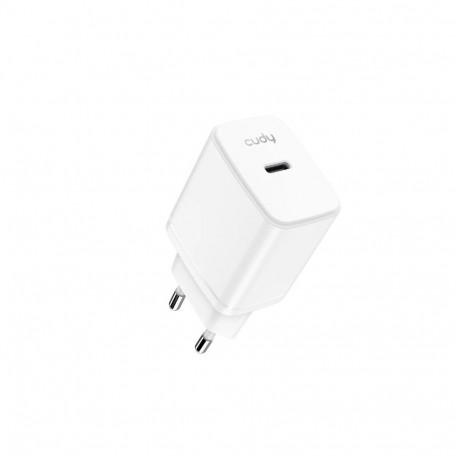 Charger CH25
