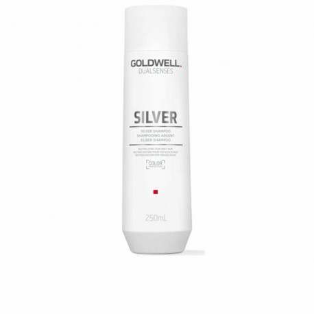 Shampoo for Blonde or Graying Hair Goldwell Silver 250 ml
