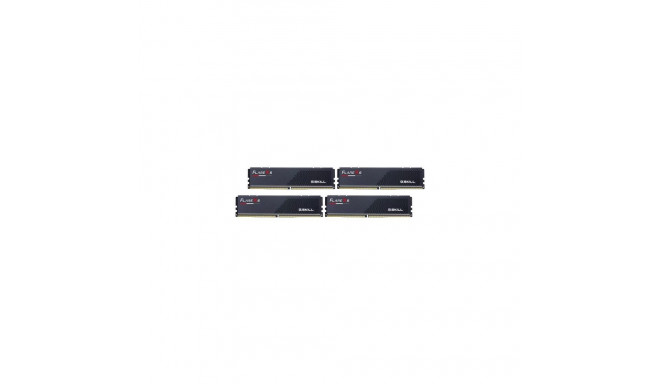 G.Skill Flare X5 F5-6000J3644D64GX4-FX5 memory module 256 GB 4 x 64 GB DDR5 5600 MT/s