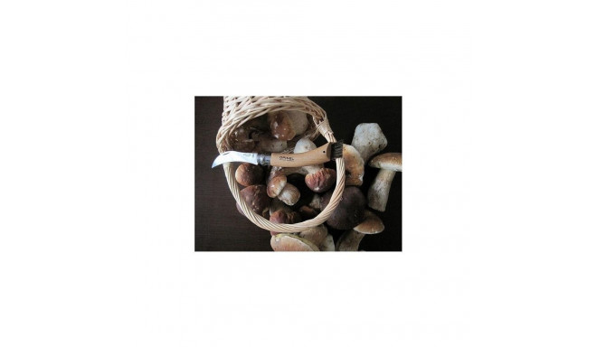 MUSHROOM KNIFE