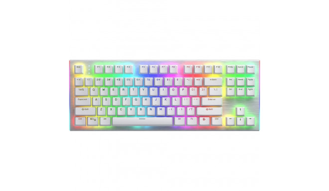 Hator Gravity X TKL RGB aurum oranž klaviatuur (HTK551)