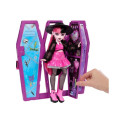 monster high aksessuaaride komplekt draculaura salajane eliksiirituba