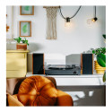 Turntable AD1915 USB Bluetooth Speakers