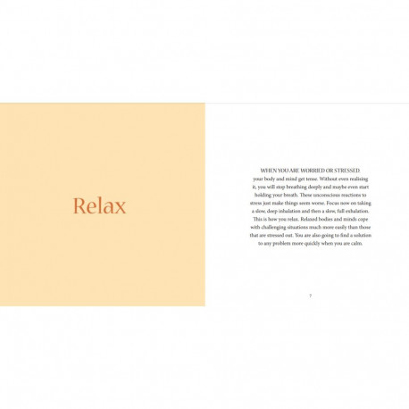 Book - Blue Angel What To Do When You Don't Know What To Do? 16.7x16.7x1.7 cm 330 g