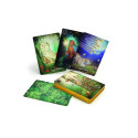 - Tarot Deck - Westwood Taro 78 Cards Guide 13.5x18.2x6.2 cm 786 g