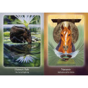 Oracle Deck - Bear and Company The Council of Horses 40 Cards Guidebook