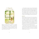 Oracle Deck - Midnight Sun Oracle 36 Cards Guidebook 14x10x3 cm 310 g