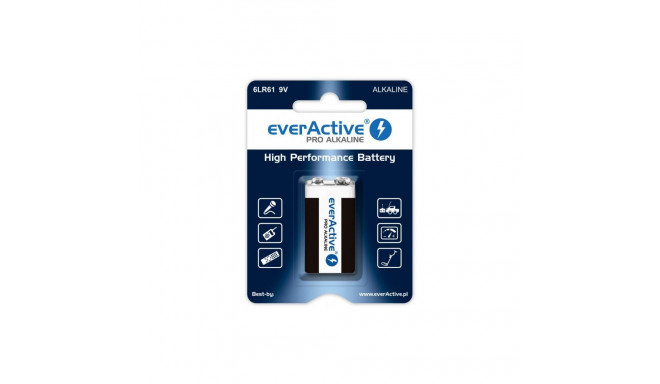 Battery - Everactive Pro 9v R9*