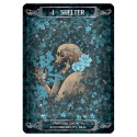 Oracle Deck - Earth & Bone Oracle 42 Cards Instructional Booklet 9x12.8x3.2 cm