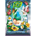 Oracle Card - Water Alchemy Oracle 40 Cards 144-Page Guide 12.7x17.1x3.8 cm