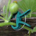AG691H clip for tying high-growing plants 12pcs