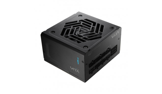 1000W FSP VITA GM 80+ Gold ATX 3.0 Fully Modular
