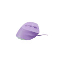 NATEC Crake 2 Pro mouse Universal Right-hand USB Type-A Optical 12800 DPI