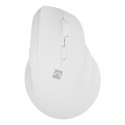 NATEC Crake 2 universaalne paremakäeline RF juhtmevaba + Bluetooth optiline 2400 DPI hiir