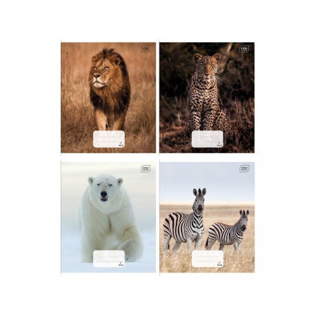 Kaustik 165x208 24 lehte, 5x5 ruut, Wild assortii Interdruk