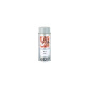 RR22 katusevärv hall 400ml