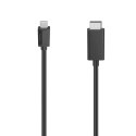 Hama USB-C kuni DisplayPort kaabel 4K Ultra HD 1.5m