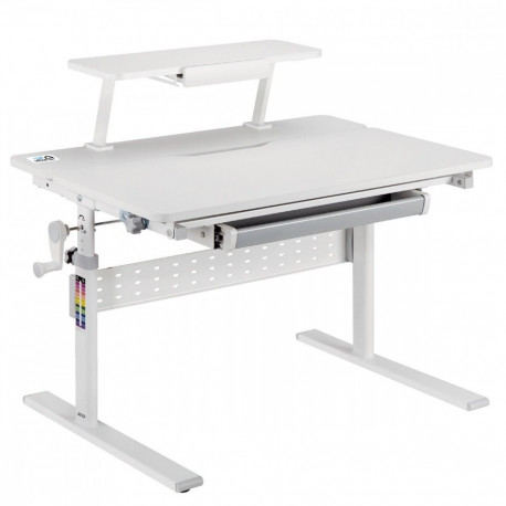 Laste ergonoomiline kirjutuslaud Ergo Office ER-483
