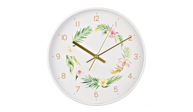 Seinakell W8052 , 30cm, lilled