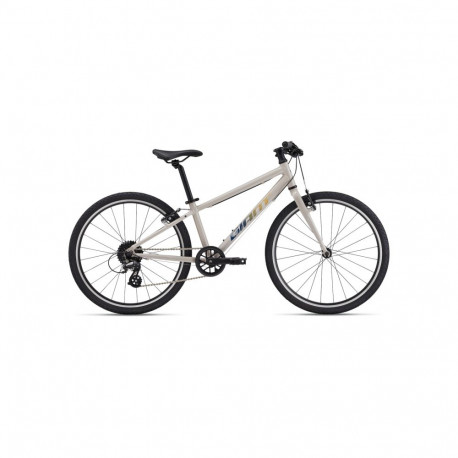 Ülikerge laste jalgratas GIANT ARX 24 (2025) Mushroom