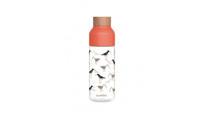 Quokka Ice - Butelka na wodę ecozen 720 ml (Birds)
