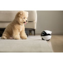 Enabot ROLA Mini Companion Robot | Enabot
