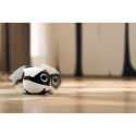 Enabot ROLA Mini Companion Robot | Enabot