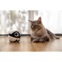 Enabot ROLA Mini Companion Robot