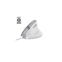 Trust Bayo II mouse Office Right-hand USB Type-A Optical 2400 DPI