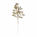 Filiaal Kuldne Plastmass 31 x 68 x 2 cm (12 Ühikut)