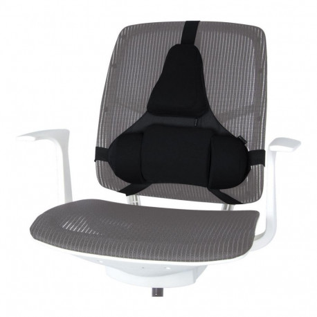 Fellowes Ergonomics professional back support pillow