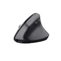 Trust Bayo+ mouse Office Right-hand RF Wireless + Bluetooth Optical 2400 DPI