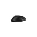 HP 255 Dual Wireless Mouse