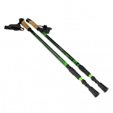 Kijki Nordic Walking Scout Bjorn zielone 3cz