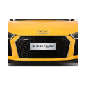 Audi R8 Spyder kollane lakitud akuga auto
