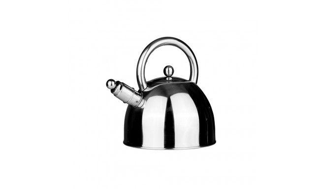 2,5 l roostevabast terasest veekeetja CWT017A