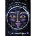 Guides Of The Hidden Realms Oracle Cards Pocket Hay House