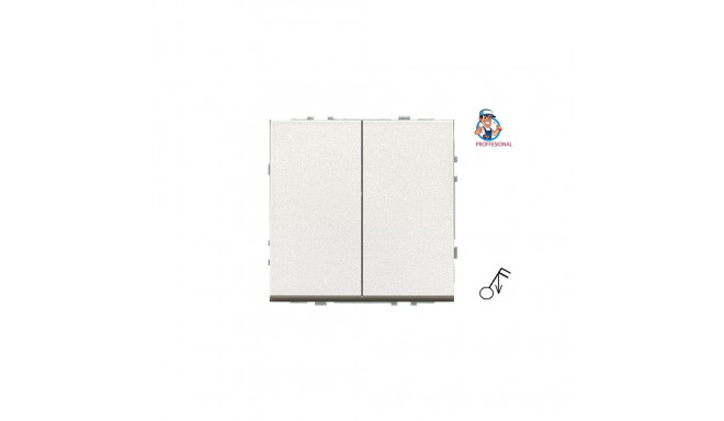 SWITCH IMP IIJ5.10-203-01.M/CH 2G MODERN