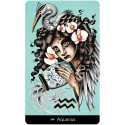 Astrology Deck - Eight Coins Astrology Orakulo 41 Cards 104-Page Guidebook