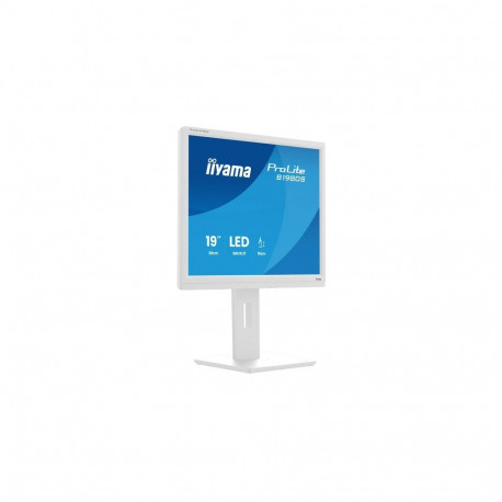iiyama ProLite B1980S-W1 computer monitor 48.3 cm (19") 1280 x 1024 pixels SVGA LED White