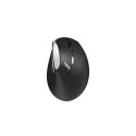 Rapoo EV250 mouse Office Right-hand RF Wireless Optical 1600 DPI