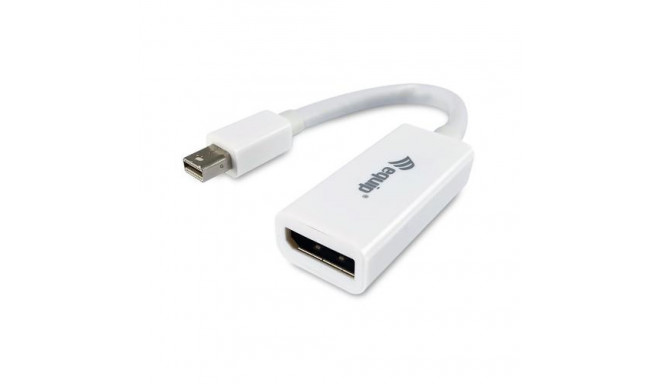 Equip Mini DisplayPort to DisplayPort adapter